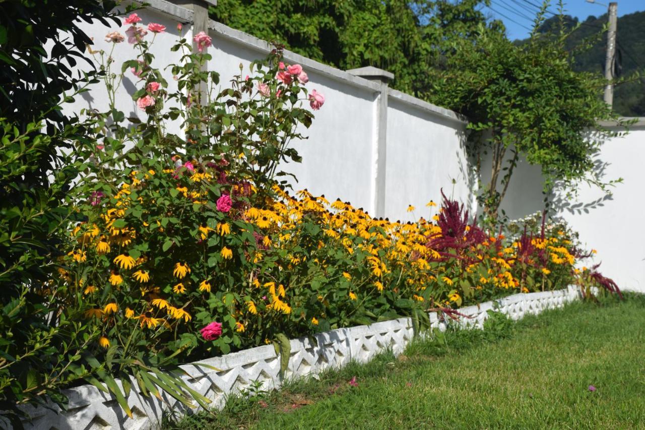 Casa Sonya Daire Aninoasa Dış mekan fotoğraf