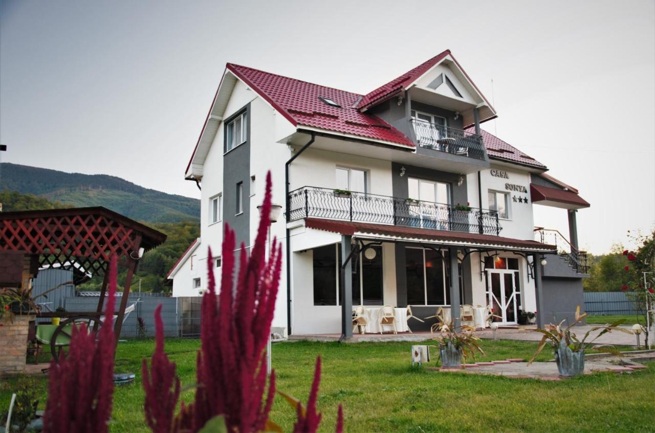 Casa Sonya Daire Aninoasa Dış mekan fotoğraf