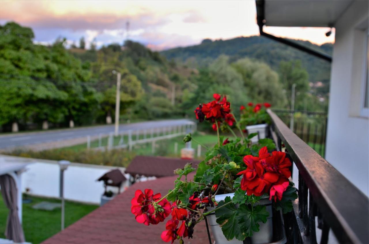 Casa Sonya Daire Aninoasa Dış mekan fotoğraf