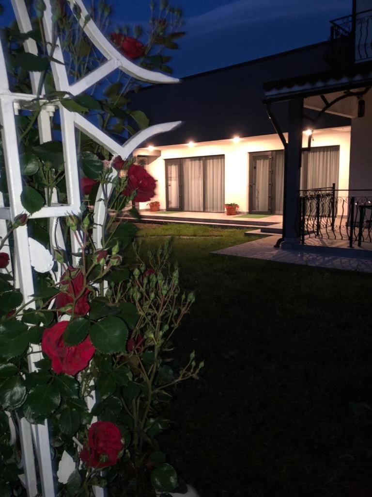 Casa Sonya Daire Aninoasa Dış mekan fotoğraf